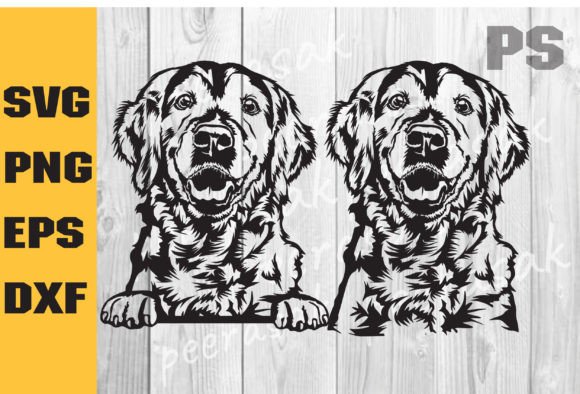 Golden Retriever SVG, Goldie, Dog
